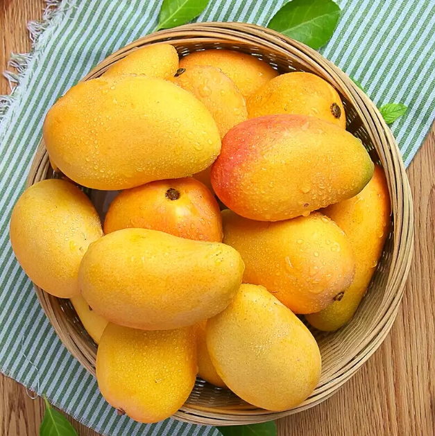 百色芒果鲜果大宗采购招标